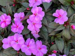 -南宁市凤岭儿童公园