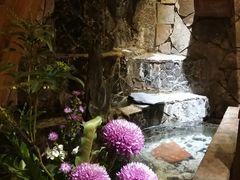 -春水堂人文茶馆(台中四维店)