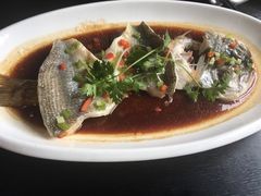 -河畔春天时尚餐厅