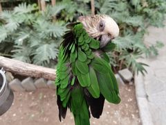 -南宫五洲植物乐园