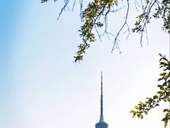 -梧桐山风景名胜区