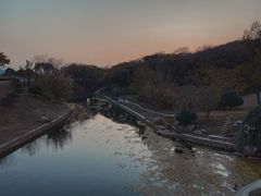 -羊山湖公园