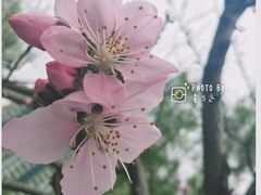 -西北湖绿化广场