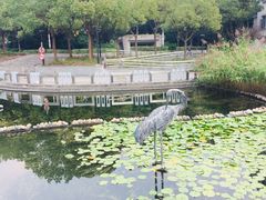 -苏州河梦清园环保主题公园