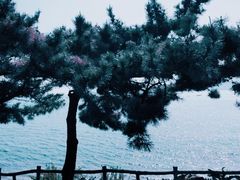 -大连金石滩国家旅游度假区