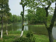 -尚贤河湿地