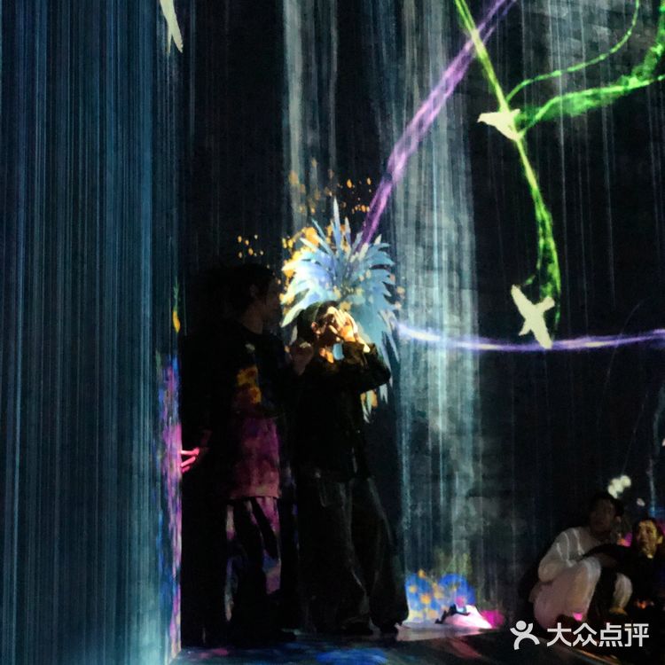 逛展|teamLab无界x 胡沈员现代舞专场
