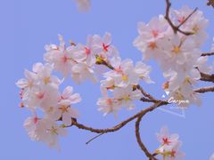-西北湖绿化广场