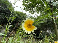 -罗家巷子休闲庄自助碳烤