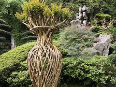 -南山植物园
