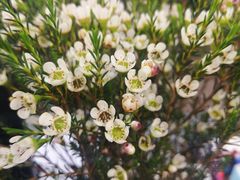 -太平洋咖啡(市府恒隆二店)