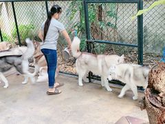 -TrueLove @ Neverland (Husky Cafe)