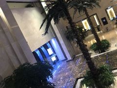-常州环球恐龙城维景国际大酒店