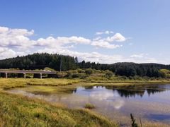 -御道口草原森林风景区
