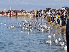 -青海湖国家重点风景名胜区