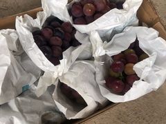 -马陆小张葡萄园农家乐