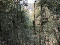 -石燕湖生态旅游景区
