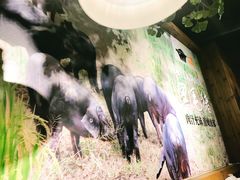 大堂-猪啊牛呀羊啊铜盘烤肉(正大广场店)