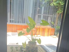 -龙猫意杯花园餐厅(芙蓉湖店)