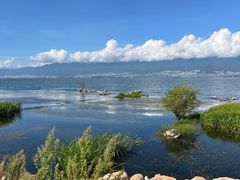-大理洱海