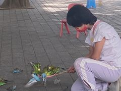 -1982农场