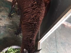 -泉州海丝野生动物世界