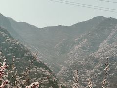 -阳台山自然风景区