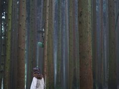 -武陵山森林公园