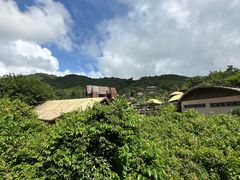 -海南槟榔谷黎苗文化旅游区
