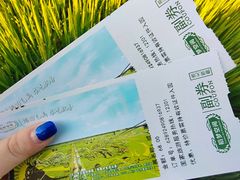 门票-稻梦空间