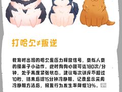 -瑞派·关忠动物医院(国瑞店)