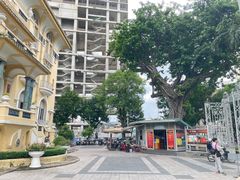 -胡志明市美术馆