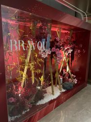 -深圳米兰柏羽医疗美容医院