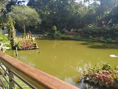 -深圳仙湖植物园-停车场