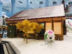 -广州热雪奇迹