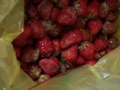 -江杨农产品批发市场