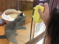 -龟与熊猫宠物公园(南坪店)