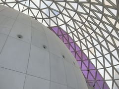 -陕西自然博物馆