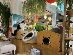 -小时光咖啡馆(北锣鼓巷店)