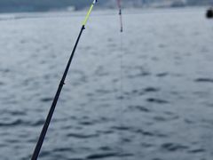 -深圳海钓·深圳钓鱼·拓展聚会鱼排
