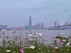 -武昌江滩