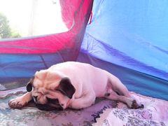 -蒲河岛湿地公园