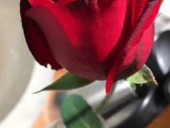 -咕嘟草帽鱼·牛奶一样的鲜鱼汤(包河万达广场创始店)