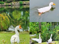 -台州府城(东湖)