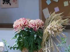 -杭州植物园