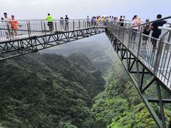-梦幻奥陶纪景区