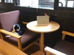 -猫的天空之城概念书店(杭州南宋御街店)