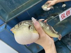 -永安鱼庄·镇江菜(丁卯店)