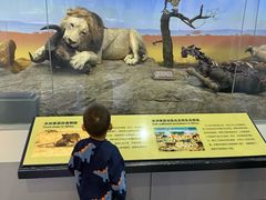 -国家自然博物馆