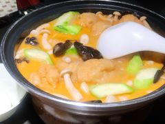 -粤凤佬